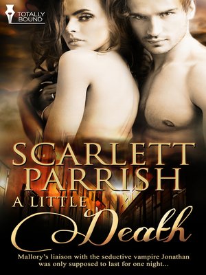 cover image of A Little Death